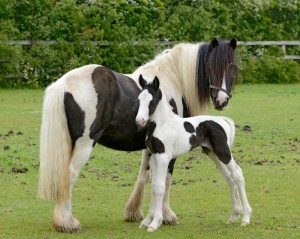 Miss P with her three-day-old son